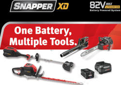Snapper battery chainsaw